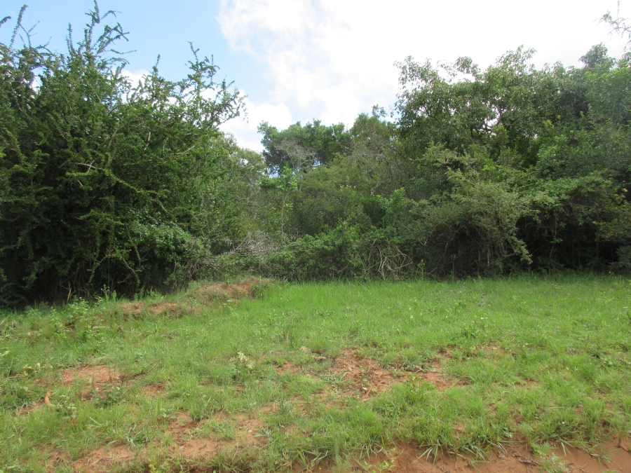 0 Bedroom Property for Sale in Bathurst Eastern Cape